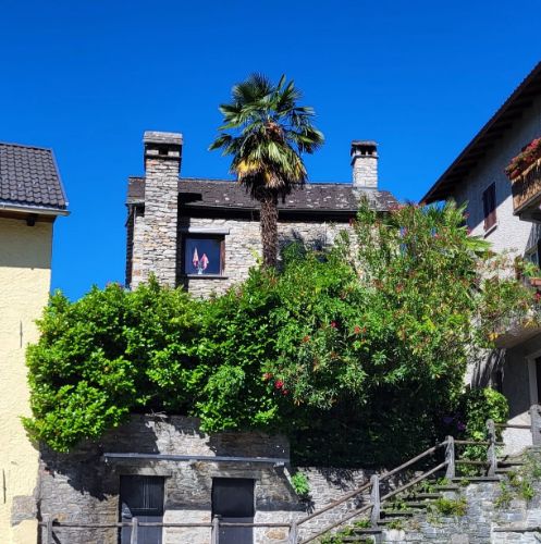 Immobili a Locarno, Ticino, Svizzera | Immobilien in Locarno, Tessin, Schweiz
